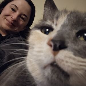 Meet your Posher, Autumn